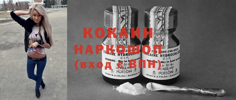 продажа наркотиков  Новосибирск  Cocaine Fish Scale 